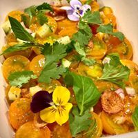 Wayan - New York Comfortable