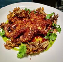 Wayan - New York Information