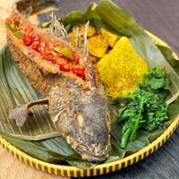 Wayan - New York Wheelchairs