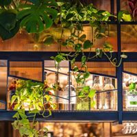 Wayan - New York Regulations