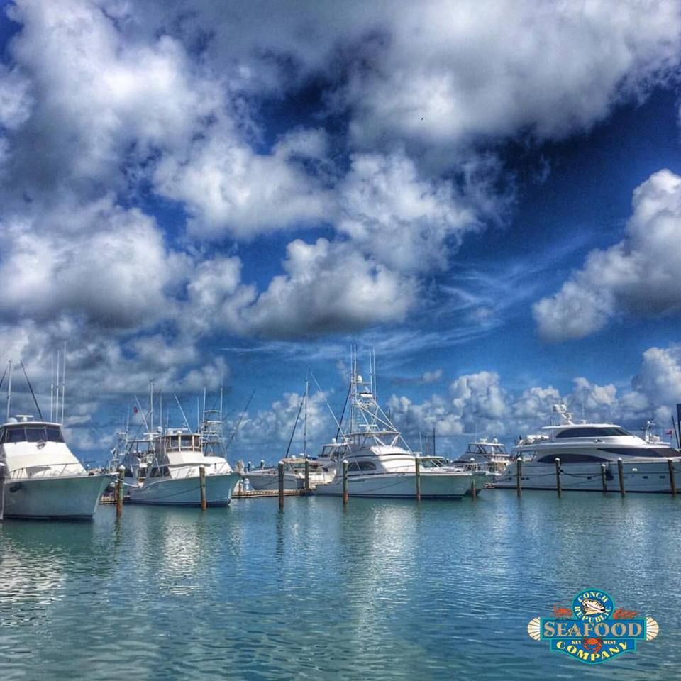 Conch Republic Seafood Company - Key West Wheelchairs