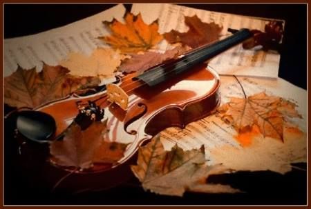 Allegro Music Center - Miami Instruments