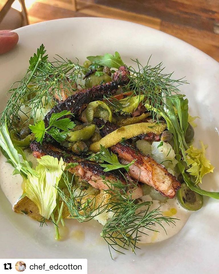 Naked Dog - Brooklyn Reservation