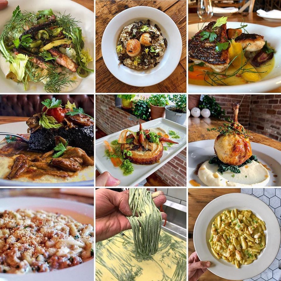 Naked Dog - Brooklyn Comfortable