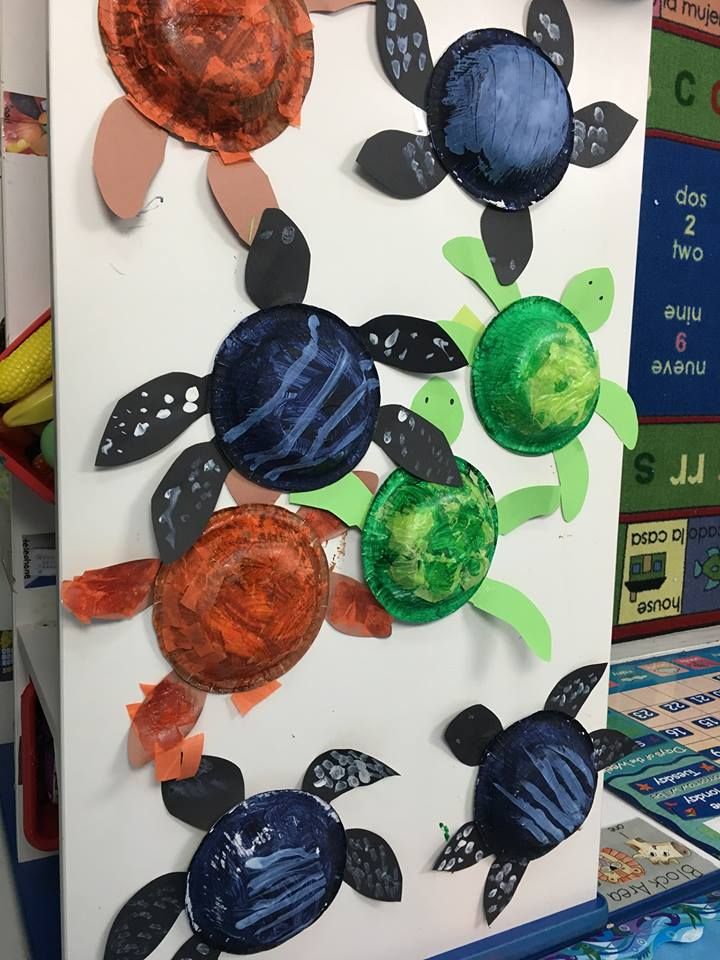 Tiny Tikes Academy - West Palm Beach Information