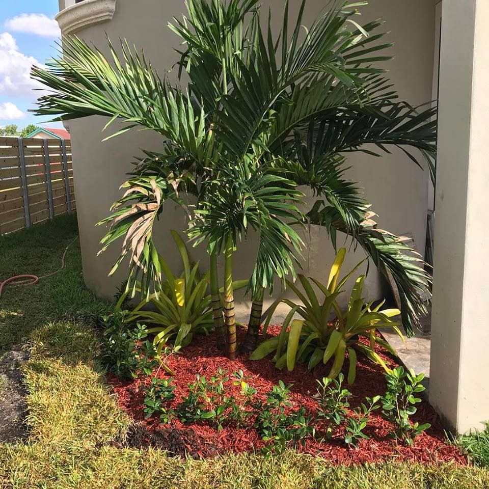 Piri Nursery & Landscaping - Hialeah Accommodate