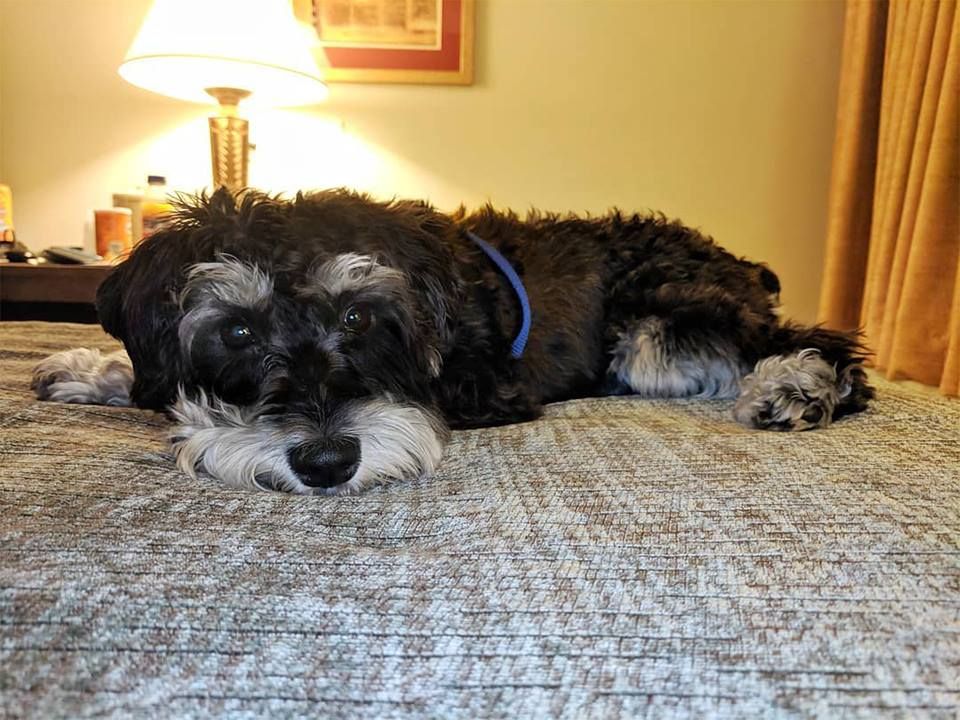 Best Western Key Ambassador Resort Inn - Key West Informative