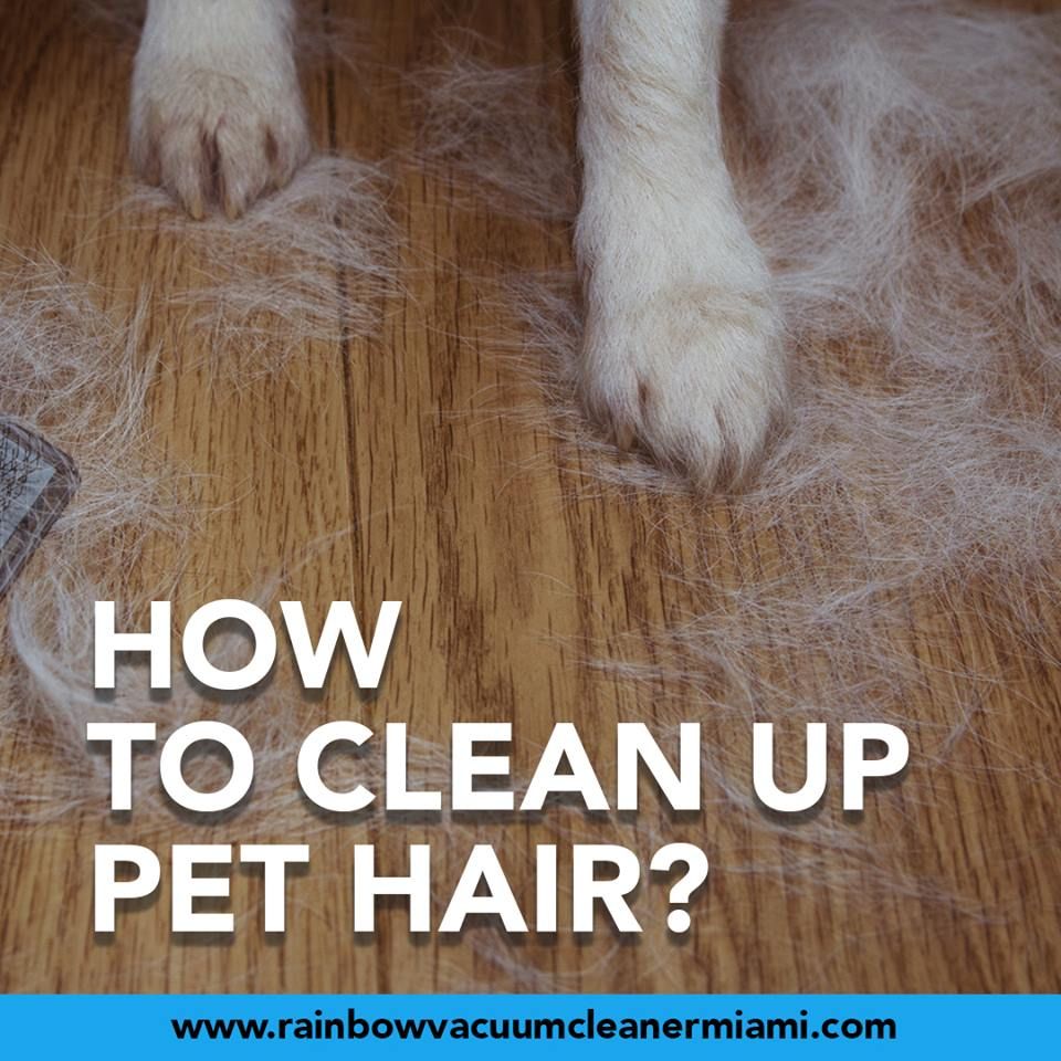Rainbow Vacuum Cleaners Miami - Tamiami Information