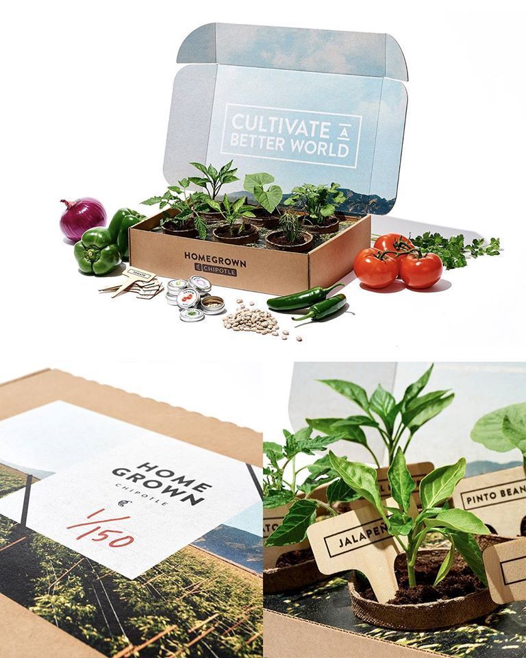 Chipotle Mexican Grill - Brooklyn Informative