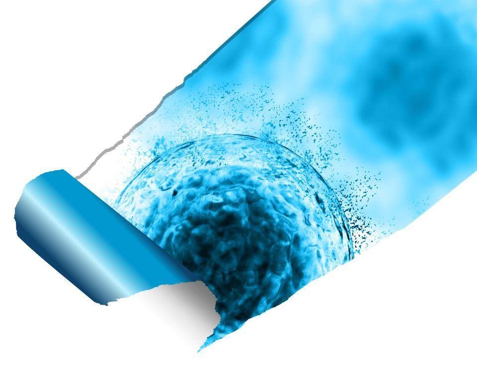 Beckman Coulter, Inc. - Hialeah Accommodate