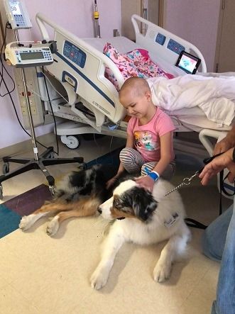 South Miami Hospital - Miami Professionals