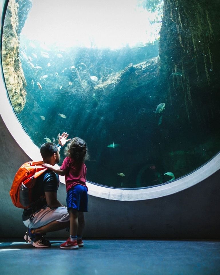 InterContinental Miami - Miami Accommodations