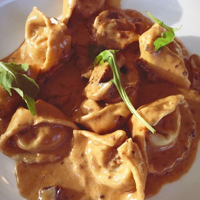 Luna Pasta e Dolci - Miami Regulations