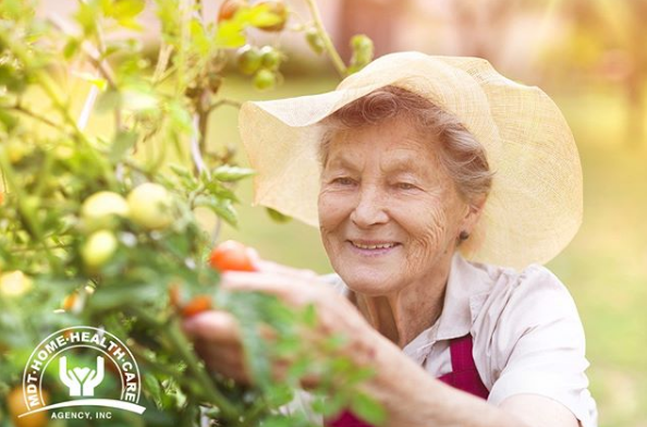 MDT Home Health Care Agency - Miami Organization