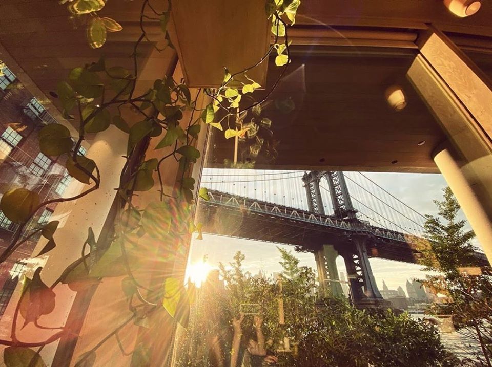 Celestine - Brooklyn Flexibility