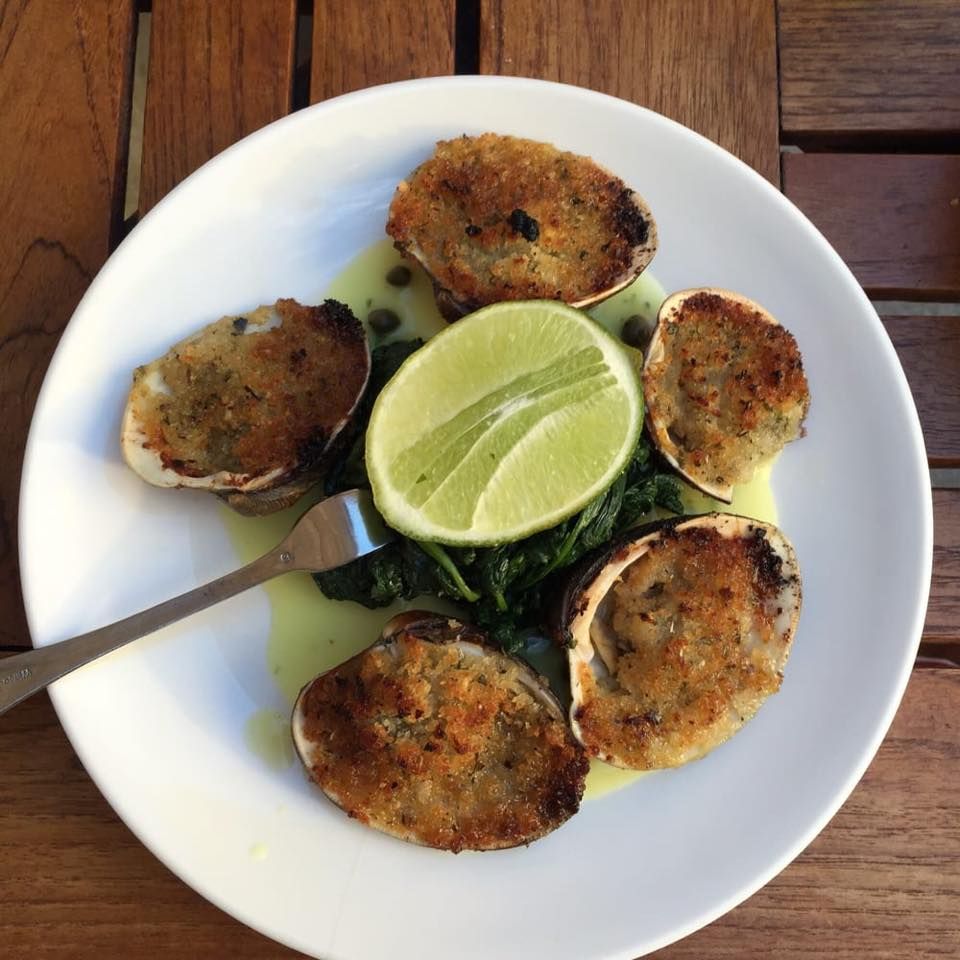 Cotenna - New York Organization