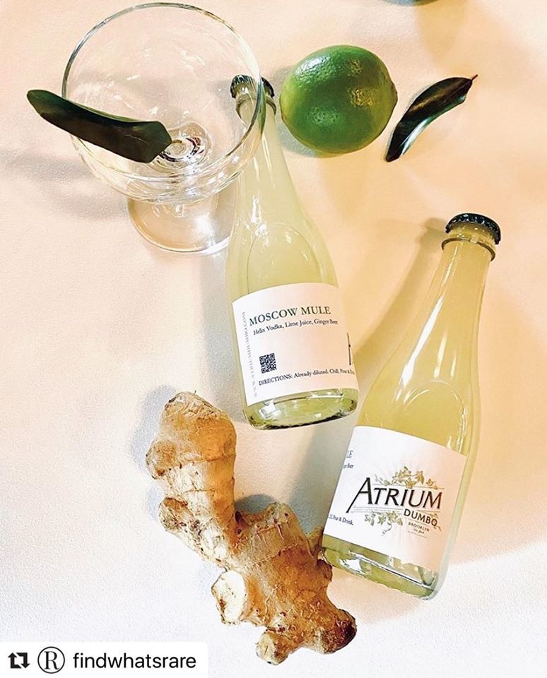 Atrium DUMBO - Brooklyn Comfortable