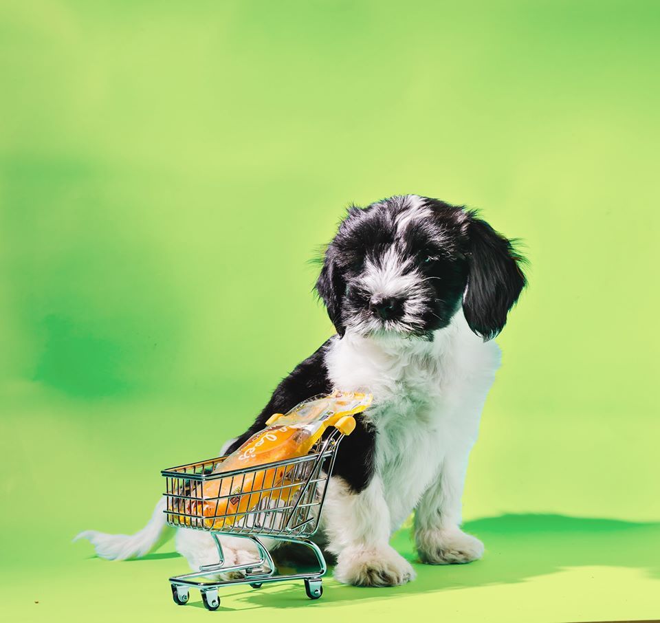 Chloe's Soft Serve Fruit Co. - New York Wheelchairs