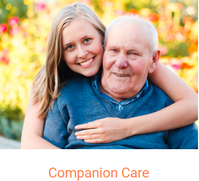 Accountable Home Care, Inc. - Palm Beach Gardens Organization