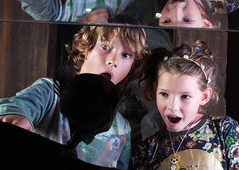 Ripley's Believe It or Not! - Key West Webpagedepot