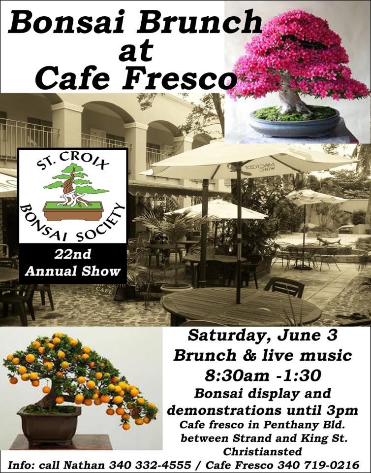 Cafe Fresco - St Croix Informative