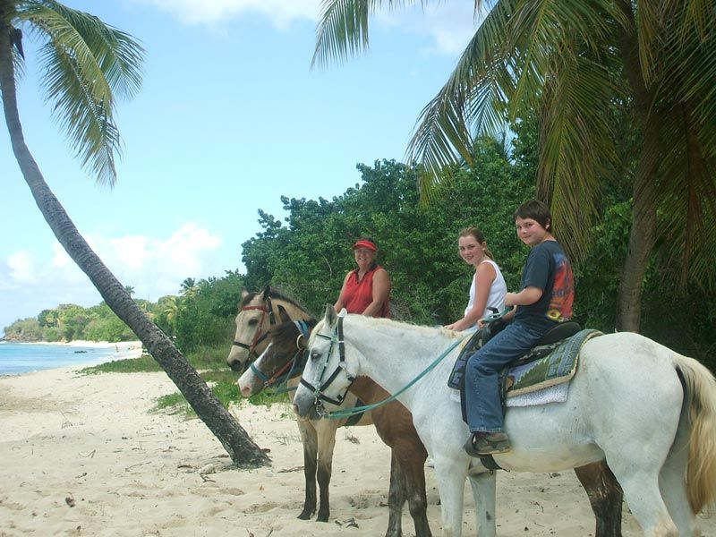 Paul and Jill's Stable - St Croix Frederiksted