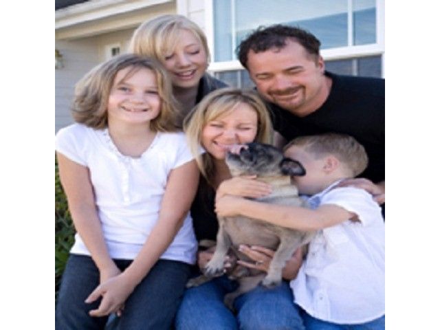 Dog Gone Rite, LLC Wheelchairs