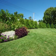 Taylor Brothers Landscape - Parker Accommodate