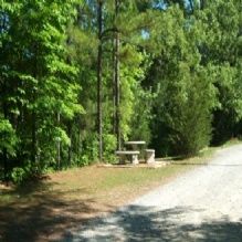 Candy Mountain RV Park - Cottondale Recreational
