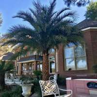 Trees R Us Trees R Us, Trees R Us, 1903 St Andrews Blvd, Panama City, FL, , insurance, Service - Insurance, car, auto, home, health, medical, life, , auto, home, security, Services, grooming, stylist, plumb, electric, clean, groom, bath, sew, decorate, driver, uber