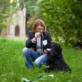 Sit Means Sit Dog Training Slider 1