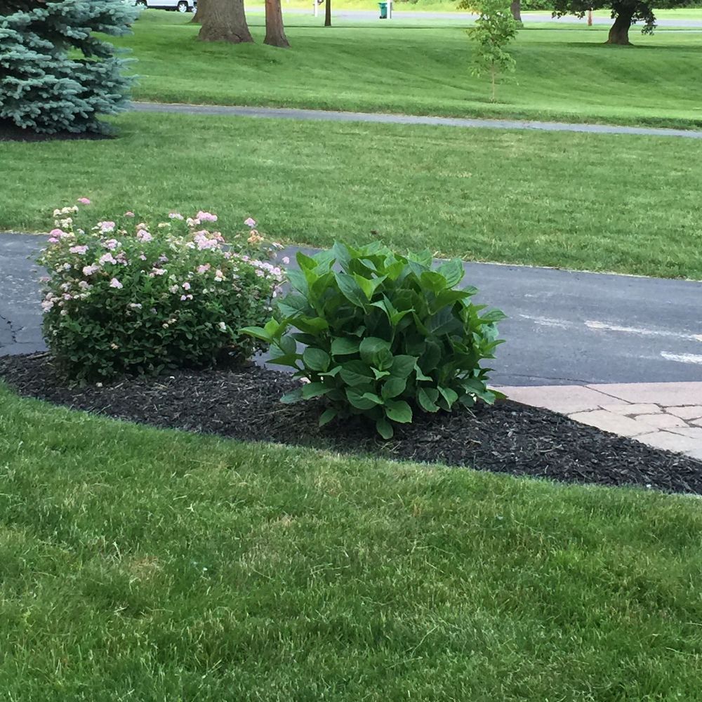 K/T Enterprises LLC - Webster Professionals