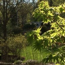 Andover Arborists - Andover Informative