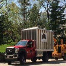 Andover Arborists - Andover Established