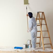 LDN Painters Inc - Albany Informative