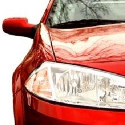 The Glass And Tint Shop - Trinidad Accommodate