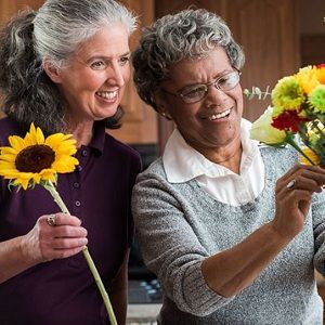 Home Instead Senior Care - Grand Rapids Documentation