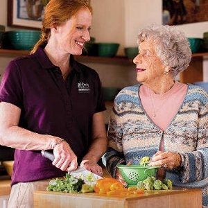 Home Instead Senior Care - Grand Rapids Webpagedepot