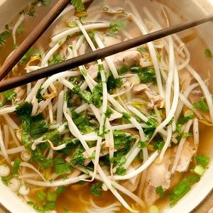 Shogun Hibachi Asian Cuisine - Island Park Availability