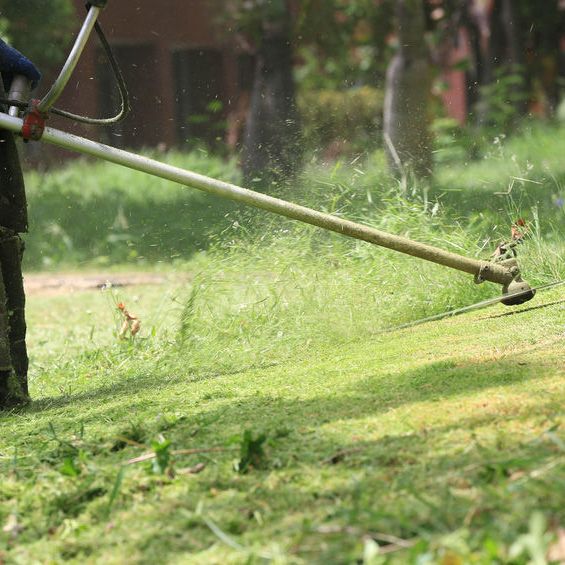 Sun Viking Land Designs, LLC - Blackwood Informative