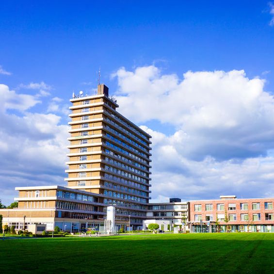 Aurora Healing Arts Webpagedepot