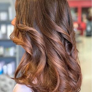 Salon Zion Wheelchairs