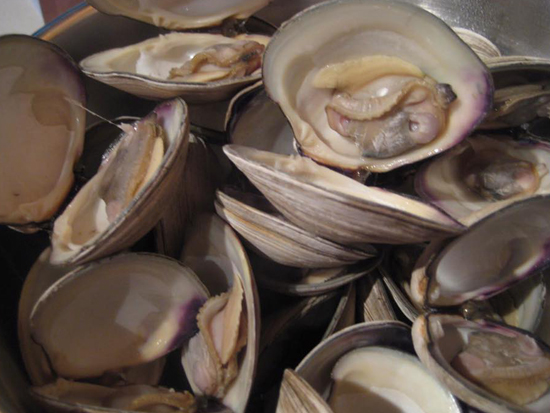 McKenna's Place - Palm Springs Informative