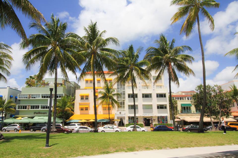 Casa Grande Suite Hotel - Miami Beach Webpagedepot