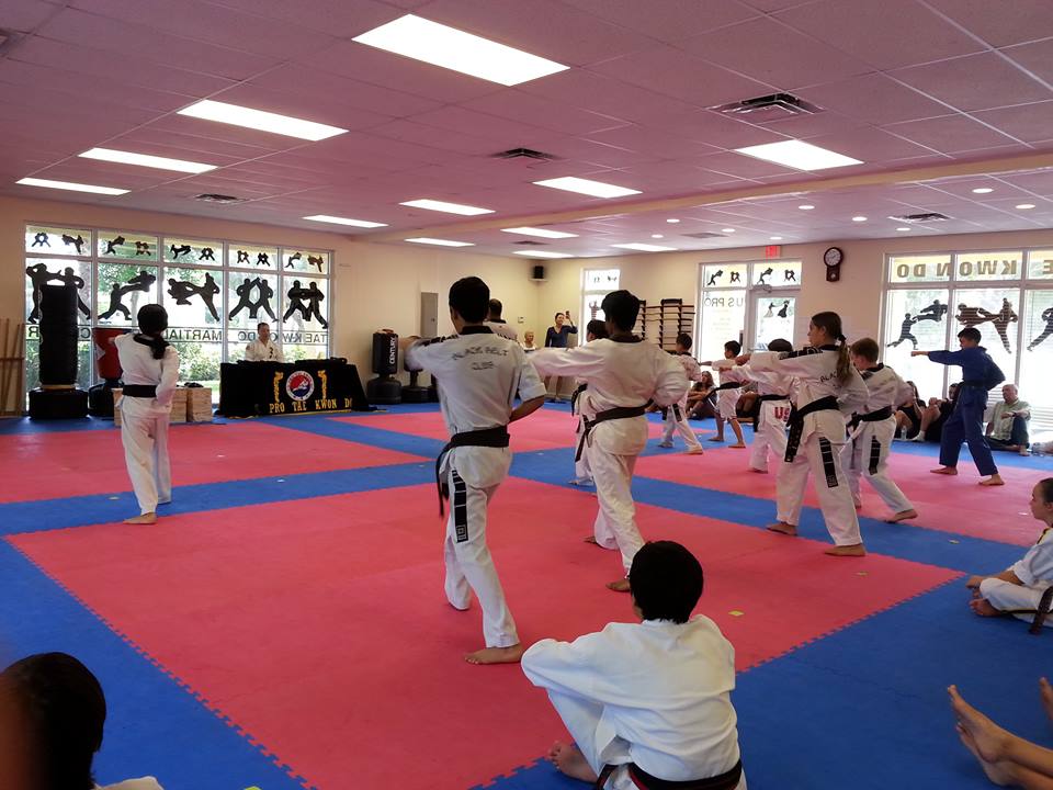 US Pro Tae Kwon Do - Jupiter Additionally
