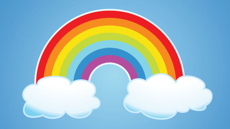 Wellington Rainbow Care - Wellington Establishment