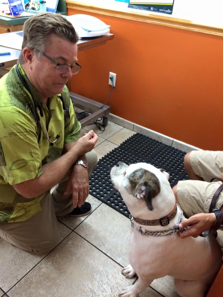 Archie Kleopfer Veterinary Care Clinic - Lake Worth Vaccinations
