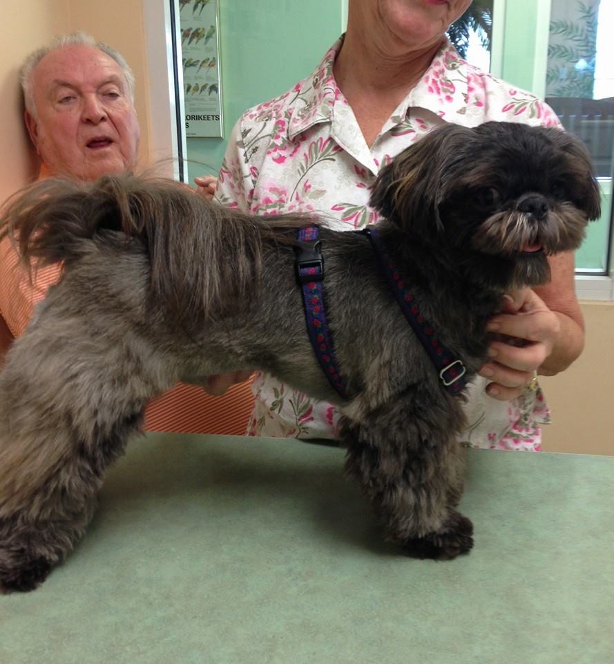 Baker Veterinary Clinic - West Palm Beach Veterinarians