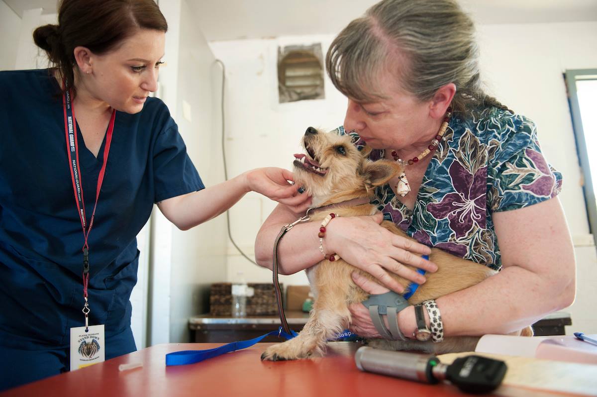 Banfield Pet Hospital - Boca Raton Accessibility