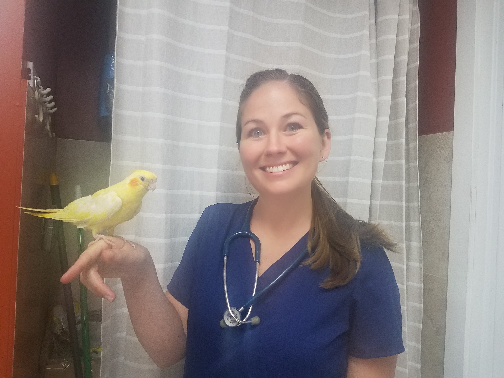 Broward Avian & Exotic Animal Hospital - Deerfield Beach Veterinarians